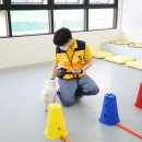 옐레드 애견유치원 & 애견호텔 광명점 이미지