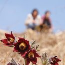 한재공원 이미지