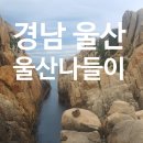 경남 울산]울산 당일치기 + 1박 여행 후기: 대왕암, 바닷가 산책과 맛집 탐방