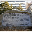 청라푸른담쟁이 이미지