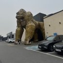 양남독채펜션 이미지