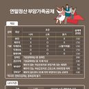 OK 비즈워치
