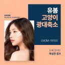 감동성형외과의원 이미지