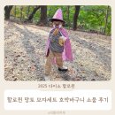 안경이야기 외동점 | 2025 다이소 할로윈 의상 망토 모자 세트와 호박 바구니 소품 후기