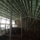 은성 태양광발전소 이미지