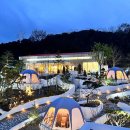 롤링핀 대구수목원점 - 1320 | 롤링핀 대구수목원점