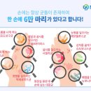 한일위생 이미지