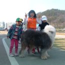 미련곰탱이