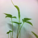 원재한의원 이미지