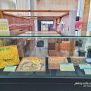 명동뉴스타 이미지