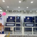 올리스24기장점 이미지