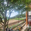 장천삼거리식당 이미지