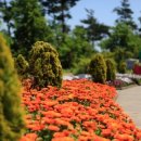 고창농장 이미지