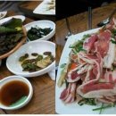 붕붕오리나라 이미지