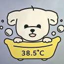 38점5도씨 이미지