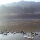 건강부동산공인중개사사무소 이미지
