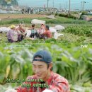 사이먹다 이미지