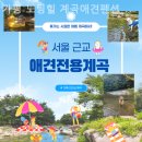 가평노팅힐계곡애견펜션 | 북면펜션 가평 노팅힐 계곡애견펜션 일상에서벗어난여유!