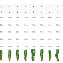 골프존J 이미지