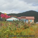 행복한 굼벵이 마을 이미지