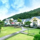 강애산애 이미지