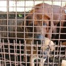 전임농장 이미지