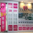 사파동273 이미지