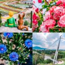 삼송로 139번길 일부구간 | 강원도 철원 가볼만한곳 고석정 꽃밭 주상절리길 순담매표소 등