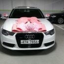 카앤모터스 이미지