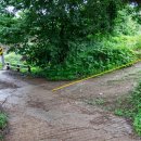 블루베리 지나 200M 이미지