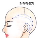 핸드경락 마사지 이미지