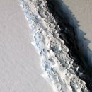 (주)라센 이미지