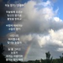 하늘향기 이미지