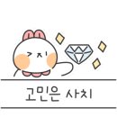 누리댕댕 이미지