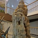 덕소자연사박물관 이미지