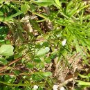 도도한푸드 이미지