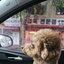 몽글몽글 이미지