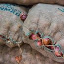 India's Onion Prices Play Pivotal Role in Election-wsj 8/27 : 인도 주식 양파 가격파동과 선거 이미지