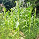 표선어린이집 이미지