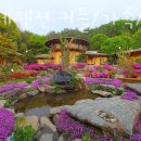 나이테펜션 | 강원도계곡펜션 나이테펜션 커플/가족/단체/계곡/수영장/군면회/수료식 국내1박2일여행지로 추천하는...