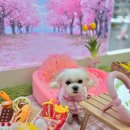 시온동물병원 이미지