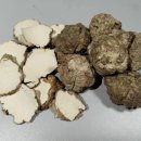 위병,감기,천식,고혈압등질병에 유효한 호랑이우유버섯균 이미지