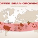 바리스타(창업) A 이미지