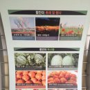 함안버스터미널 이미지