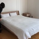 이불행사장 이미지