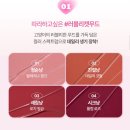 봉 그루밍 | 다이소 화장품 추천 : 내돈내산 총7가지- (립타투, 틴트, 퍼프 등 임플템 모음)