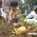 옥천만남 이미지