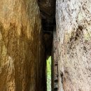 12/31[수무] 여수 돌산지맥종주+향일암 or 금오도 대부산+비렁길 -산행안내/좌석표 이미지