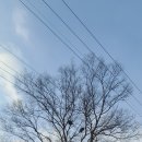 담양라라345 이미지