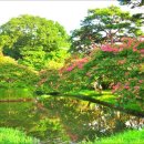 노고지리 이미지